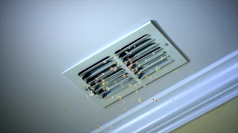 Best Ventilation Cleaning Services  in Smoke Rise, AL